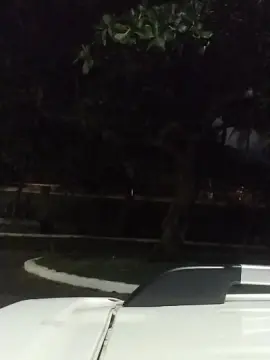 Pregnanhot  live sex cam