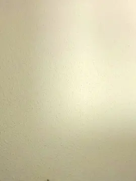 Bbwwife85  live sex cam
