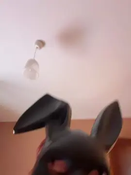 Bbabyaliss  live sex cam