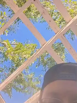 TuneBabiBunni  live sex cam