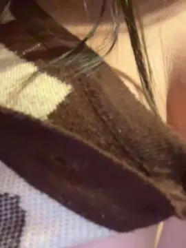 Ccami04  live sex cam