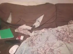 Thatdawngirl  live sex cam