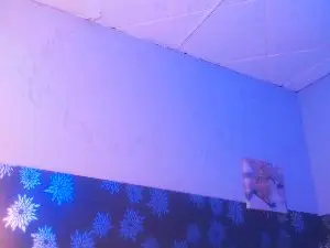 EvaBraunn  live sex cam