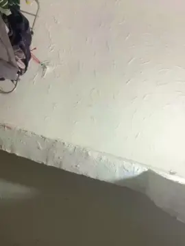 Cogumelorosaa  live sex cam