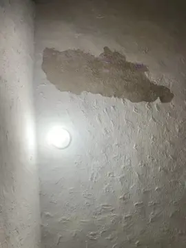 Cogumelorosaa  live sex cam