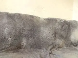 ReginaBerri  live sex cam