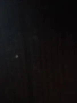 Shazh  live sex cam
