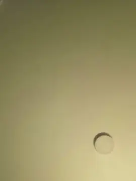 Insaciablegula  live sex cam