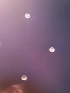 Sifiita  live sex cam