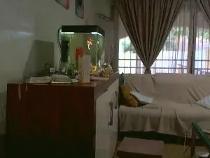 NewBeginnings8  live sex cam
