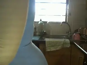 NewBeginnings8  live sex cam