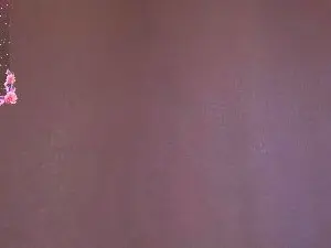 AudriaZeiss  live sex cam