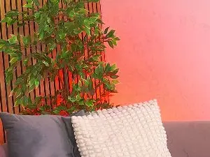 AvrillCyrus  live sex cam