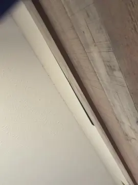 Highsexdriveee  live sex cam
