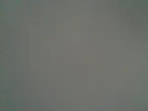 MissPippa  live sex cam