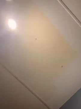 WetWetNAmazingD  live sex cam