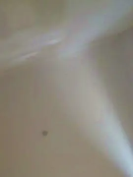 Pili8888  live sex cam