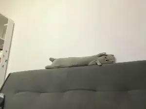 ColbyGlomski  live sex cam