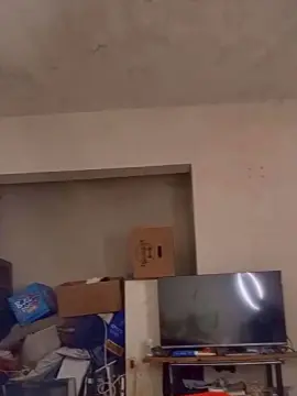 LaColoFree69  live sex cam
