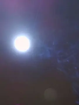 PanteraNeagra  live sex cam
