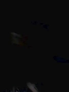 Carol__4  live sex cam