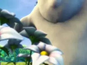 QATipP4  live sex cam