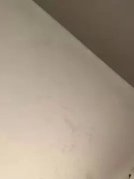 BombomCacau  live sex cam