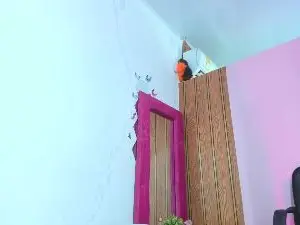 Abigailsandoval  live sex cam