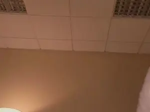 MarvelFerrise  live sex cam