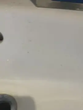 Mammolona  live sex cam