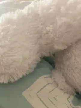 Bustygal94  live sex cam