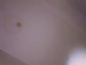 Lola_Paradis  live sex cam