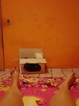 Isabella260  live sex cam