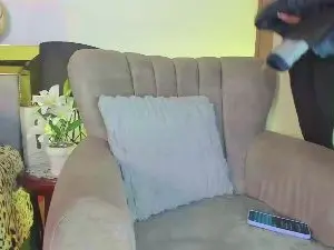 Alejandracherry  live sex cam