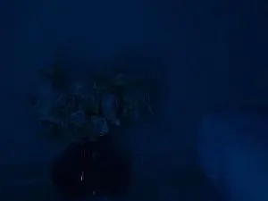 Cassieluv3  live sex cam