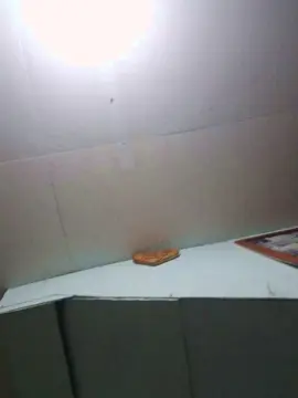 Chica_hot  live sex cam