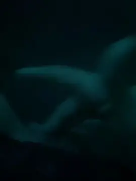 Lalindona  live sex cam