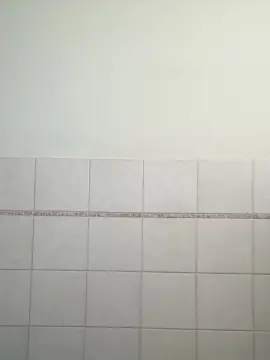 Rshskac  live sex cam