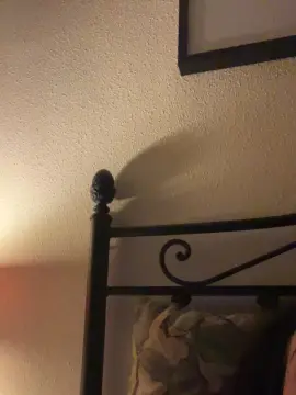 Propuesta  live sex cam