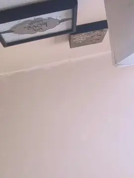 Dani4you81  live sex cam