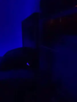 Fauna_Fenixx  live sex cam