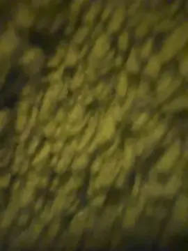 Leaelucas  live sex cam