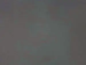 MelLoboMal  live sex cam