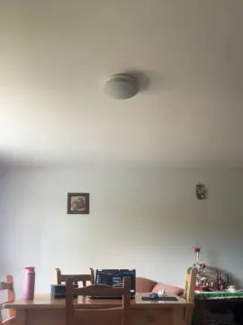 Rachelfrozono  live sex cam