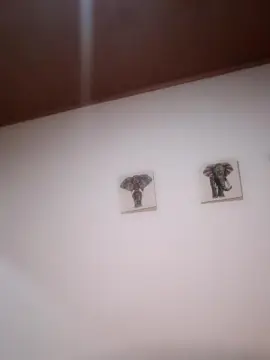 Sara_jonnes  live sex cam