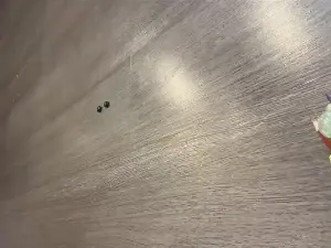 JulieBurress  live sex cam