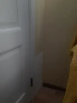 Elzakom  live sex cam