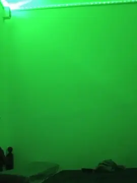 Antonella228  live sex cam