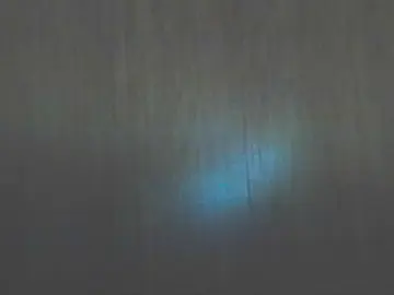 Hollymorgan  live sex cam