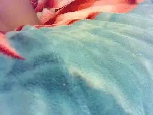 Funoutdoors1  live sex cam